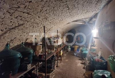 Apartament la casa 97 mpu 5 camere 2 bucatarii 3 bai gradina Cisnadie - 18