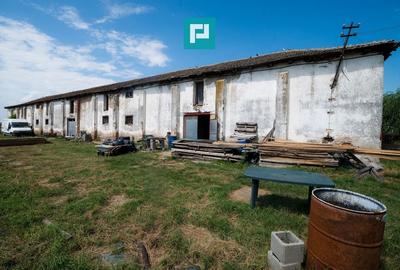 Hală industrială cu teren generos în Zărand, Arad - 5