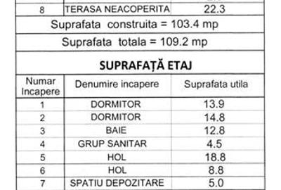 Vila P + 1E + M - cartier Parc Gheraiesti (ANL) - 36