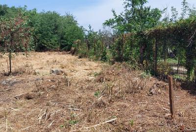 Teren în Chitila - 3