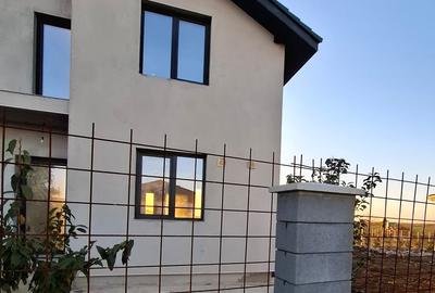 Sanandrei -Casa Individuala  - Teren - 1