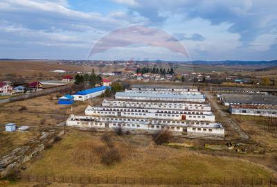 Teren Construcții intravilan de 39600 mp, în Traian - 7