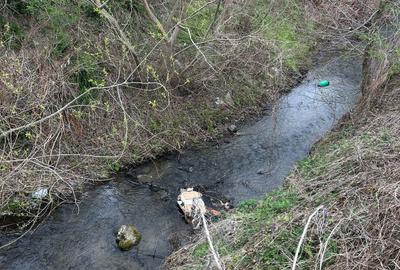 Spațiu comercial, în Peștișu Mare - 3