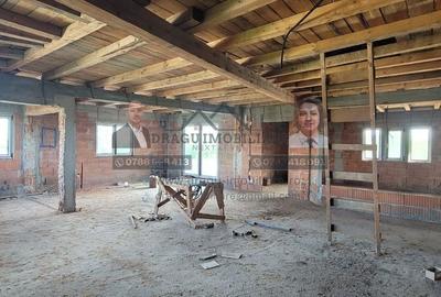 Vila la Roșu în Hanu Conachi/DN Tecuci-Galați - 2