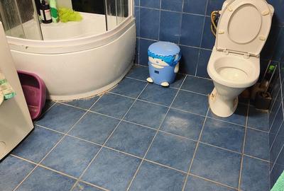 Casă cu Teren 6308 Mp în Smârdan - 2