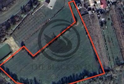 Teren de 11000 mp, în Ghirdoveni - 6