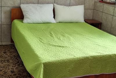 Tomesti - Osoi, vila cu spatiu comercial la parter , 2400mp teren cu iaz si pomi - 6