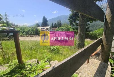 Teren de vânzare în Bușteni - Zona Zamora - 4