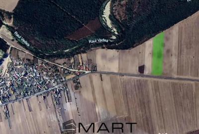 Teren în Scrioaștea - 3