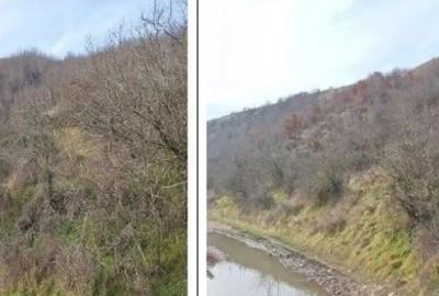 Teren de 18800 mp, în Deleni - 8