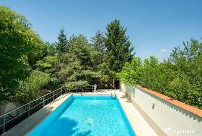 Casă cu 7 camere cu Piscina în Ciofliceni - 7