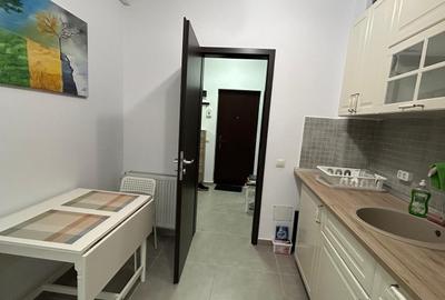 Garsoniera, prima inchiriere, parcare subterana , mobilata, Scandinavia - 4