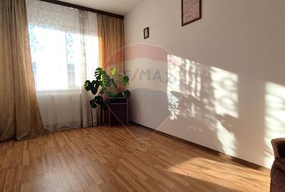 Apartament cu 2 camere semidecomandat, mobilat în Gemenii - 4
