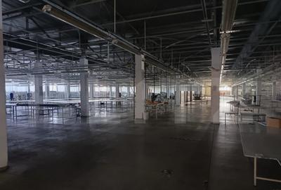 Cladire birouri , hala de productie, spatii depozitare, parc - 3