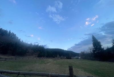 Spațiu comercial, în Brodina