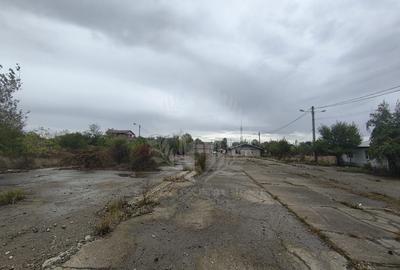 Teren Construcții intravilan de 45500 mp, în Albert - 4