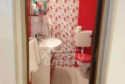 Garsonieră în Șagului