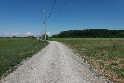 Teren Construcții intravilan de 1250 mp, în Ciofliceni - 8