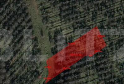 Teren intravilan, 2900 mp, Feleacu - 1