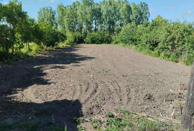 Casă cu 1 camere în Sălacea - 1