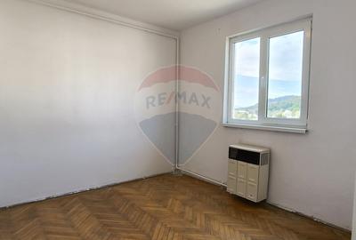 Apartament 2 camere in cartierul Gura Campului - 3