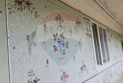 Casă individuală cu 3 camere cu Teren 7290 Mp în Socodor - 17