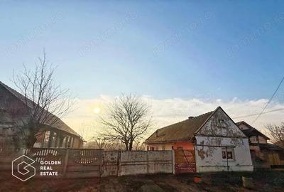 Casa in Sanmihaiu Roman - 3