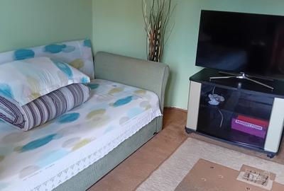 Apartament cu 3 camere decomandat în Ferdinand - 6