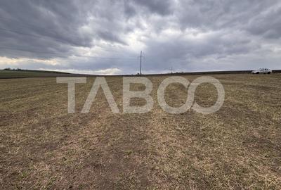 Teren Construcții intravilan de 24000 mp, în Șura Mare - 3