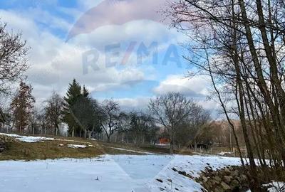 Casă cu 2 camere cu Teren 9035 Mp în Breb - 3