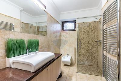 Apartament cu 3 camere semidecomandat, mobilat în Kiseleff - 6