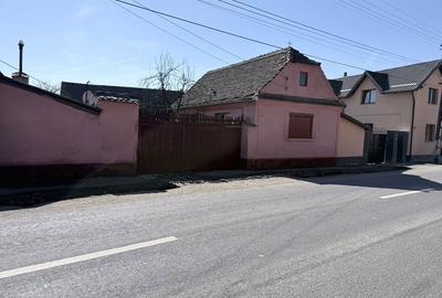 Casă cu 2 camere în Dumbrăvița - 1