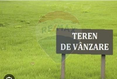 Pasune 21 ha pretabila pentru panouri fotovoltaice,impadurit - 2