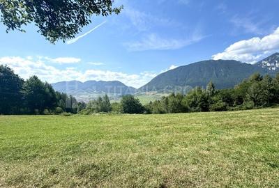 Platou montan, 6631 mp intravilan, electricitate,  langa pădure - 3