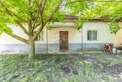 Proprietate versatila cu casa, doua hale ?i teren generos - 10