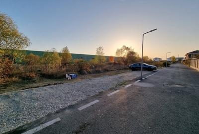 Hala 600 MP- Teren 15000-Otopeni-Centura Bucuresti - 13