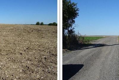 Teren intravilan Valu lui Traian, cota parte 3/48 ; ID: R... - 8