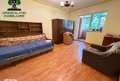 Apartament cu 2 camere decomandat în Nicolina - 8
