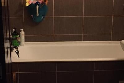 Apartament cu 3 camere decomandat în Rahova - 6