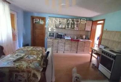 Casa Rohia ,ideala locuit sau pensiune ,zona turistica,45 ari - 6