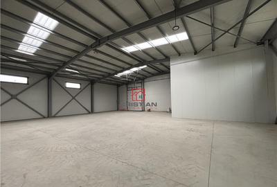 Depozit/hala/spatiu industrial Chitila - Centura, ILFOV - 10