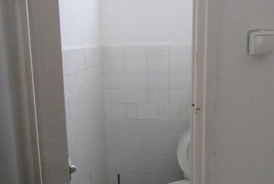 Inchiriere spatiu comercial Teiul Doamnei - 24