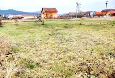 Teren de 1175 mp, în Răscruci - 3