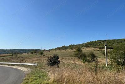 Teren de vanzare 11.400 mp, str. Podgorenilor, Dej - 2