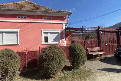 Casă cu 3 camere cu Teren 1100 Mp în Sarmizegetusa - 5