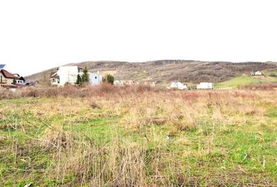 Teren intravilan de 3700 mp, în Exterior Nord - 4