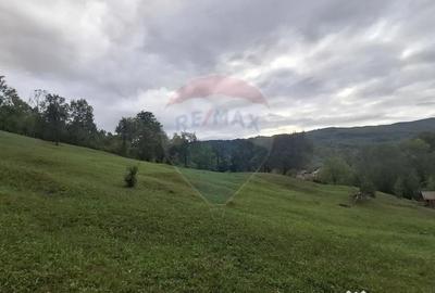 Teren de 4000 mp, în Moroeni - 2