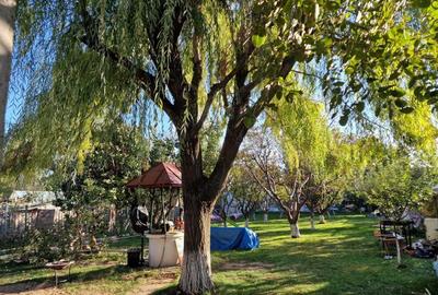 Casă cu 7 camere cu Canalizare în Cazasu - 12