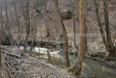 Casa in inima naturii, 140 mp la doar 15 minute de H - 5