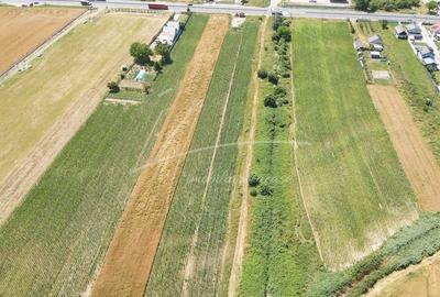 Teren cu potential de dezvoltare -7427 mp in Argeselu, Maracineni, judetul Arges - 7
